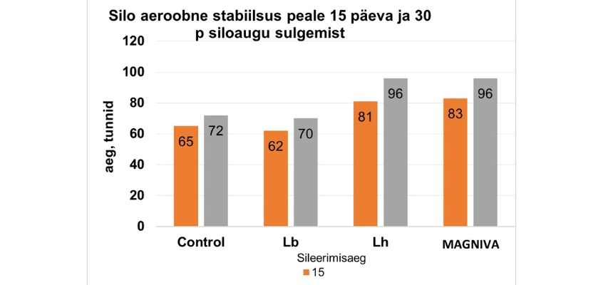 Silo aeroobne stabiilsus peale 15 päeva 30 päeva siloaugu sulgemist