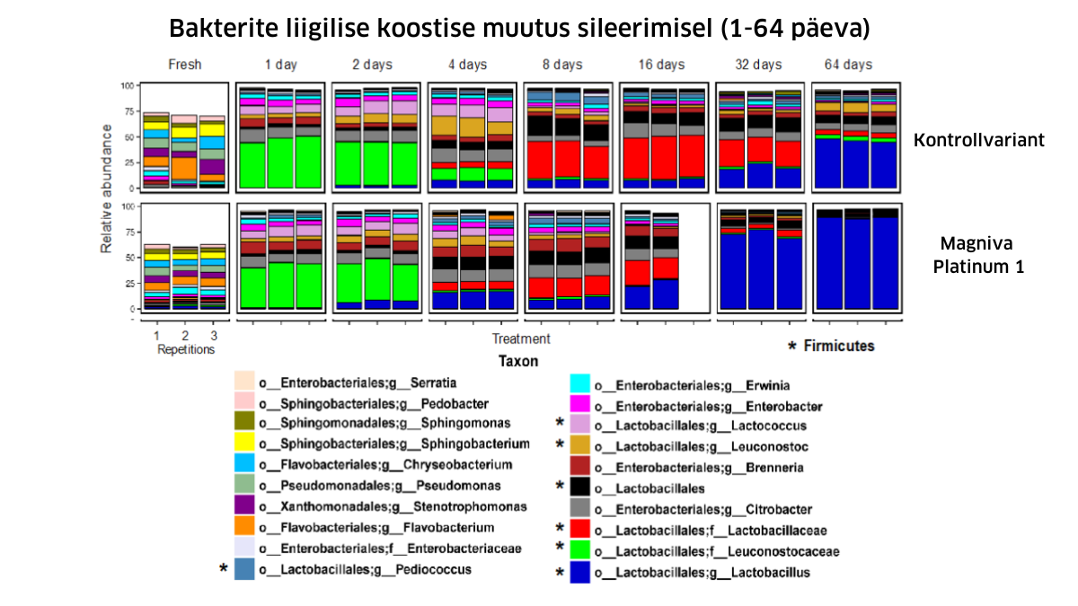 Bakterite liigilise koostise muutus sileerimisel (1-64 päeva)