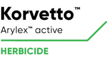 Korvetto logo