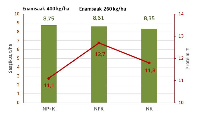 Kompleksväetise katse saagikus ja proteiin